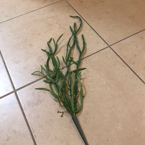 Artificial green faux cactus succulent vine NEW